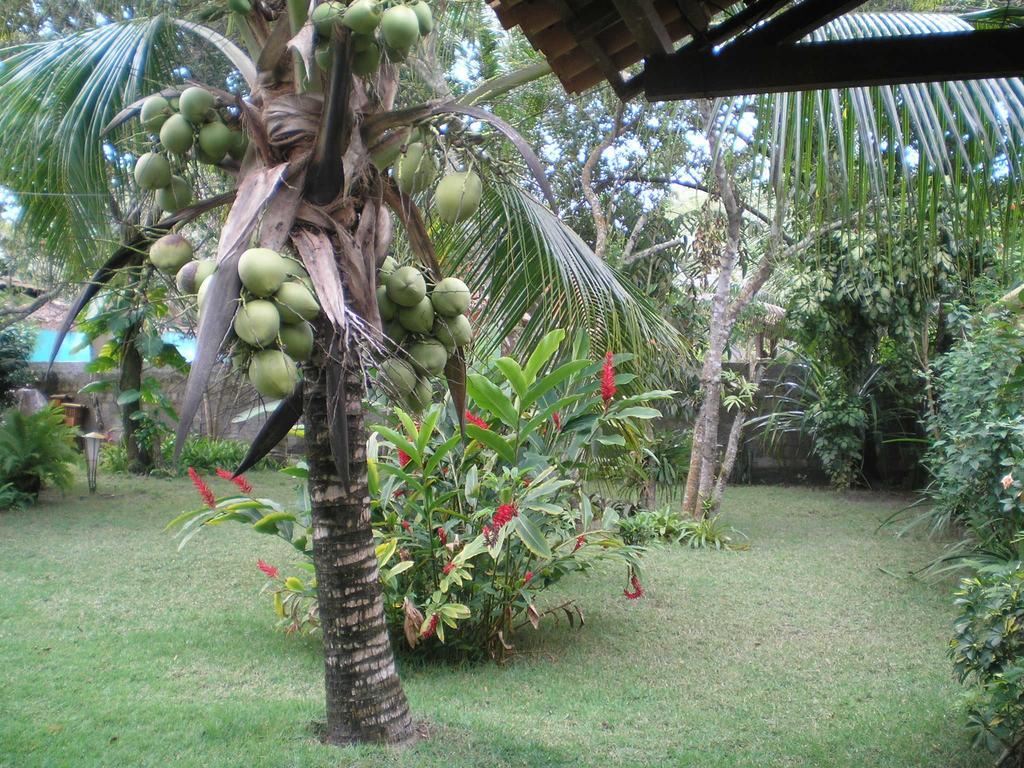 Casa Da Duda Villa Porto Seguro Værelse billede